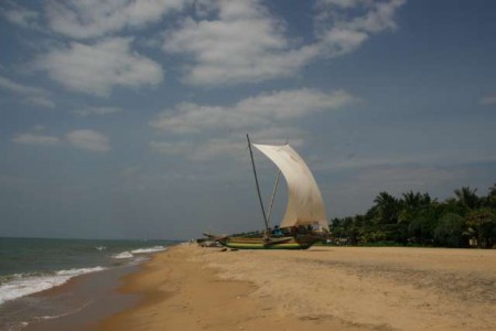 Pláž v Negombe/Beach in Negombo
